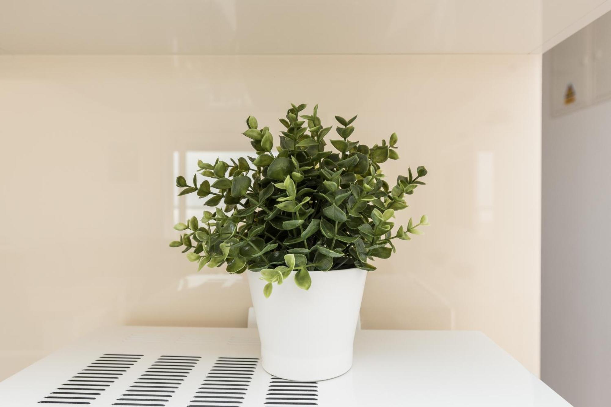 Zoran Brand New Modern Apartments マンドレ 部屋 写真